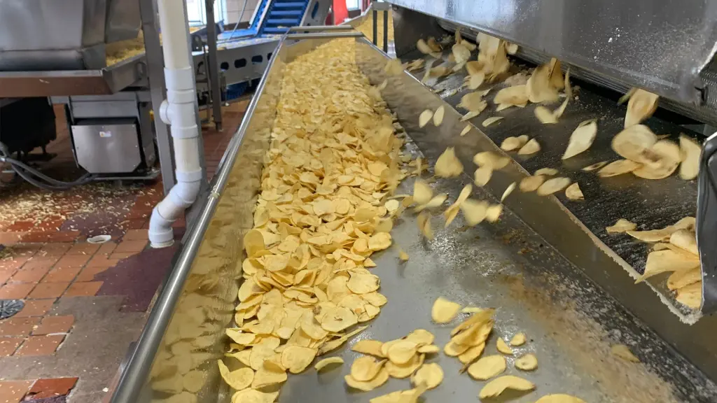 Why Potato Variety Matters in Crisps Production