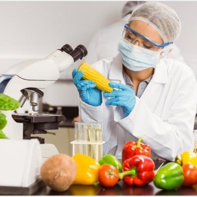 Food Science in brief